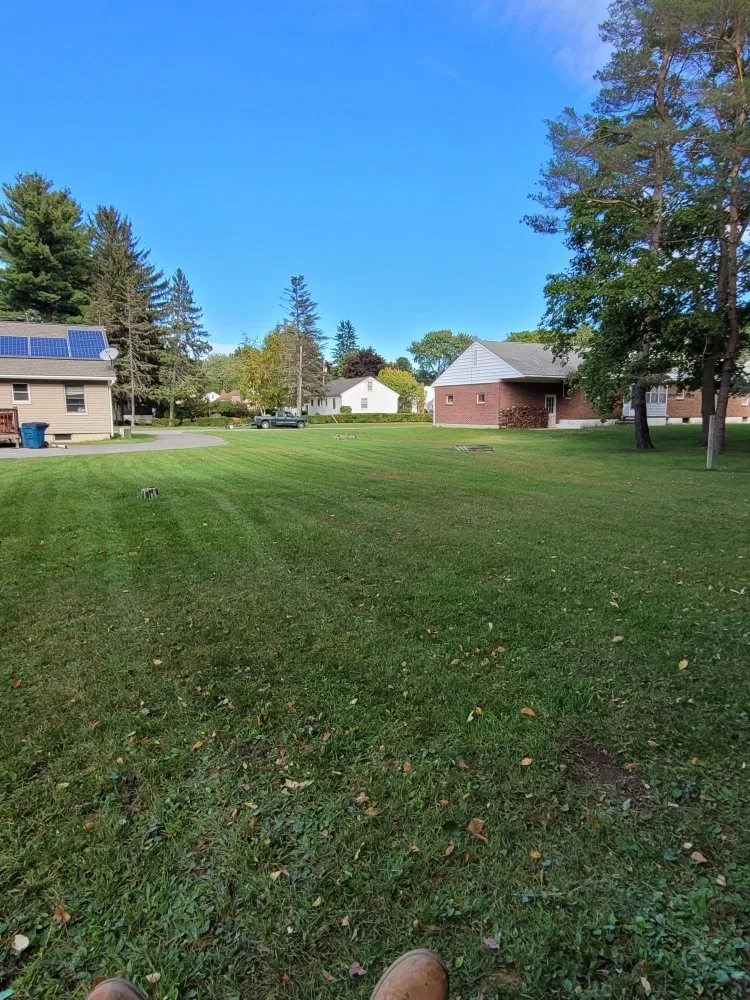 Top-rated lawn care service in Schenectady, NY - All Around Lawn care and property maintenance