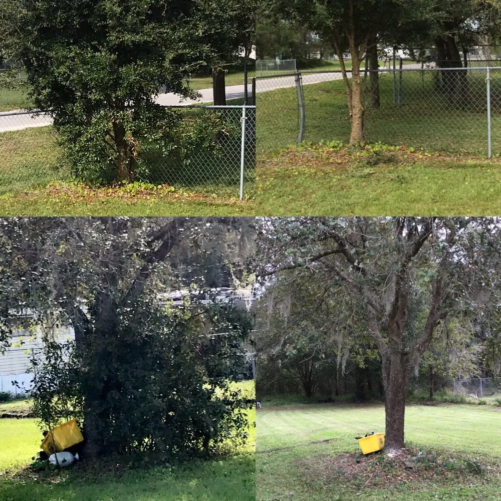 Top-rated landscape installation in Eagle lake, FL - All Around Lawn Care