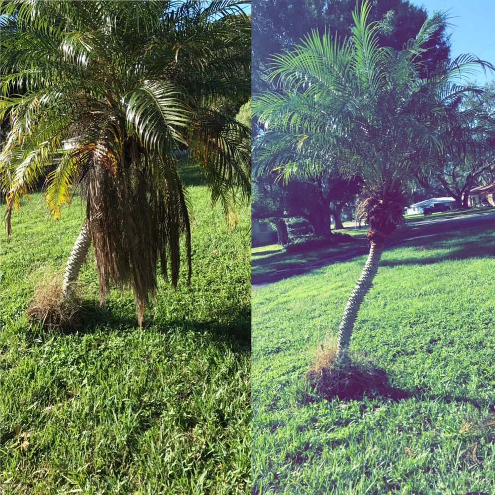 Top-rated residential landscaping in Eagle lake, FL by All Around Lawn Care