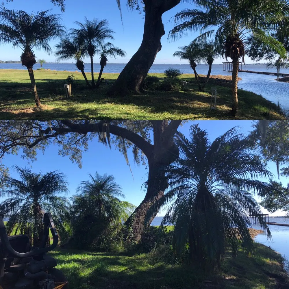 Affordable garden landscaping for beautiful yards across Eagle lake, FL - All Around Lawn Care