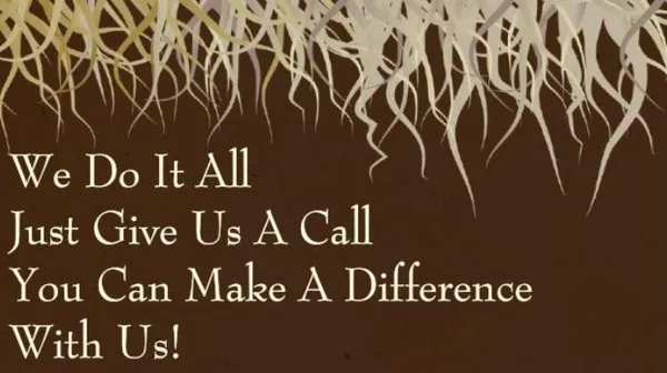 All Around Lawn Care Logo