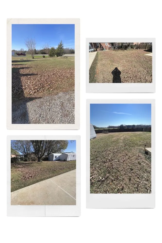 Affordable yard cleanup service in Reidsville, NC by All Around Lawn Care