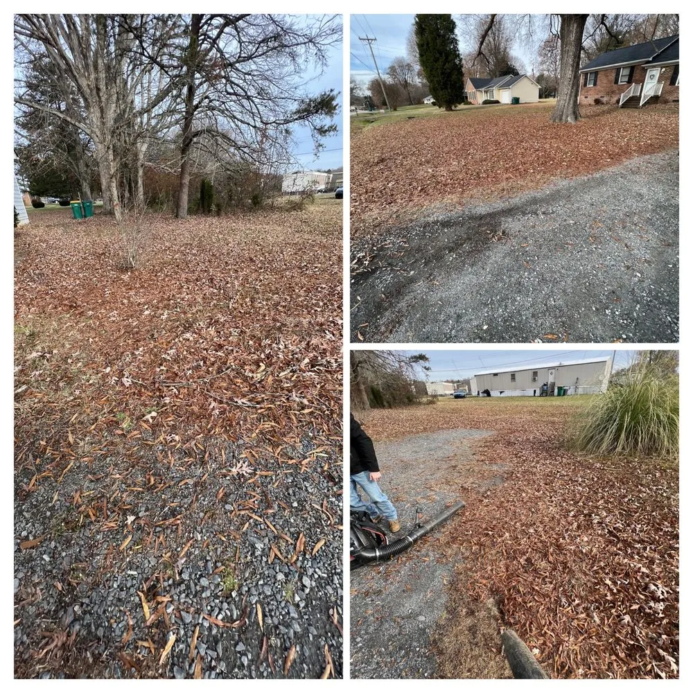 Expert yard maintenance in Reidsville, NC - All Around Lawn Care