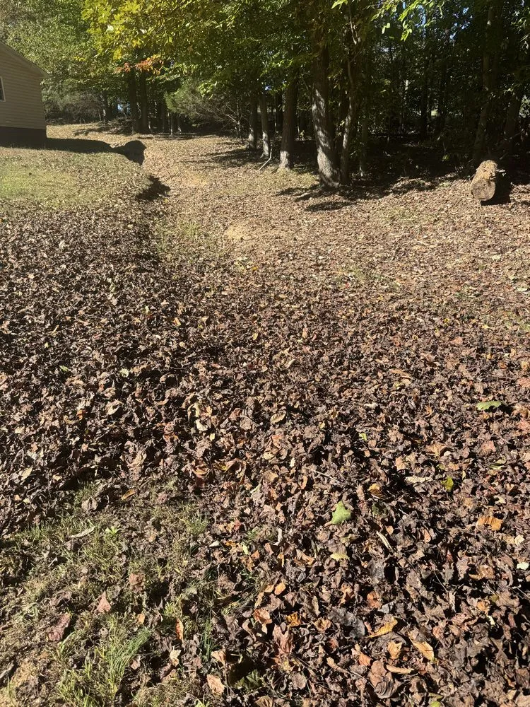 Local landscaping services with custom design in Reidsville, NC by All Around Lawn Care