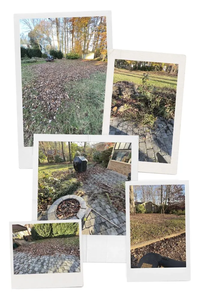 Top-rated garden landscaping experts serving Reidsville, NC - All Around Lawn Care