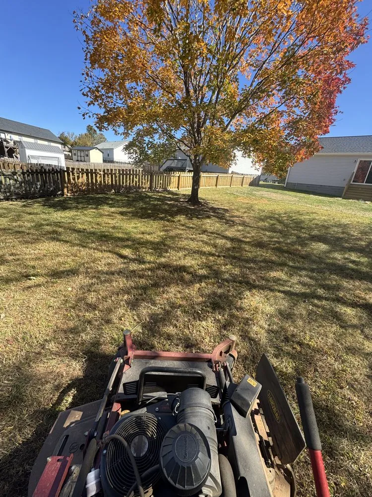 Custom lawn care service for homes across Reidsville, NC - All Around Lawn Care