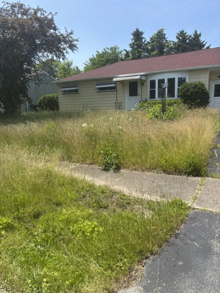 Reliable outdoor landscaping for year-round maintenance across Rochester, NY - All Around Lawn Care