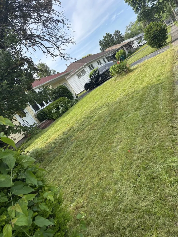 Affordable lawn mowing service in Rochester, NY by All Around Lawn Care