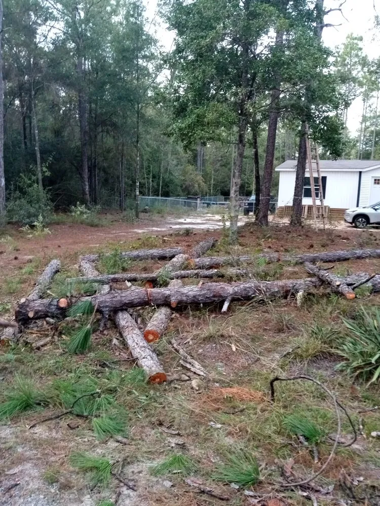 Local residential landscaping experts serving Wausau, FL - All Around Lawnscapes & Handyman Services