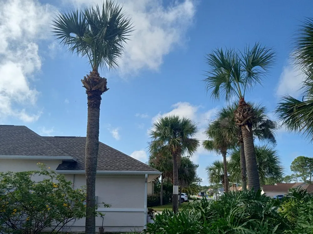 Expert residential landscaping in Wausau, FL by All Around Lawnscapes & Handyman Services