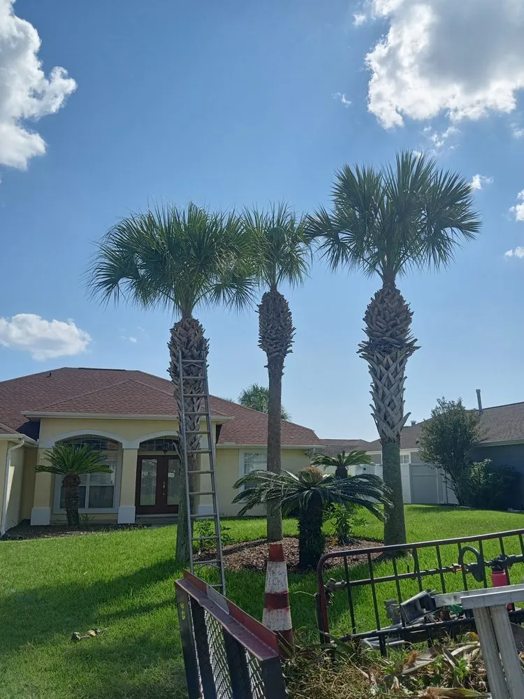 Expert lawn care service experts serving Wausau, FL - All Around Lawnscapes & Handyman Services