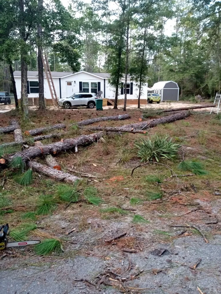 Custom lawn mowing service for outdoor upgrades in Wausau, FL by All Around Lawnscapes & Handyman Services