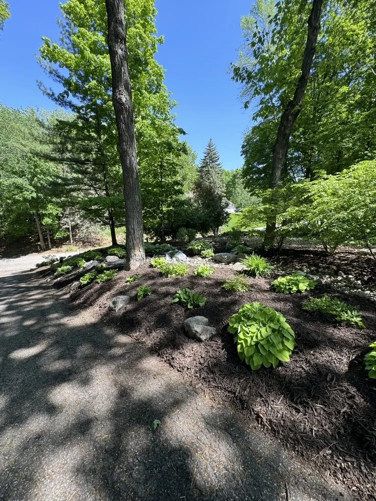 Affordable landscaping services for year-round maintenance in Minnetonka, MN by All Around