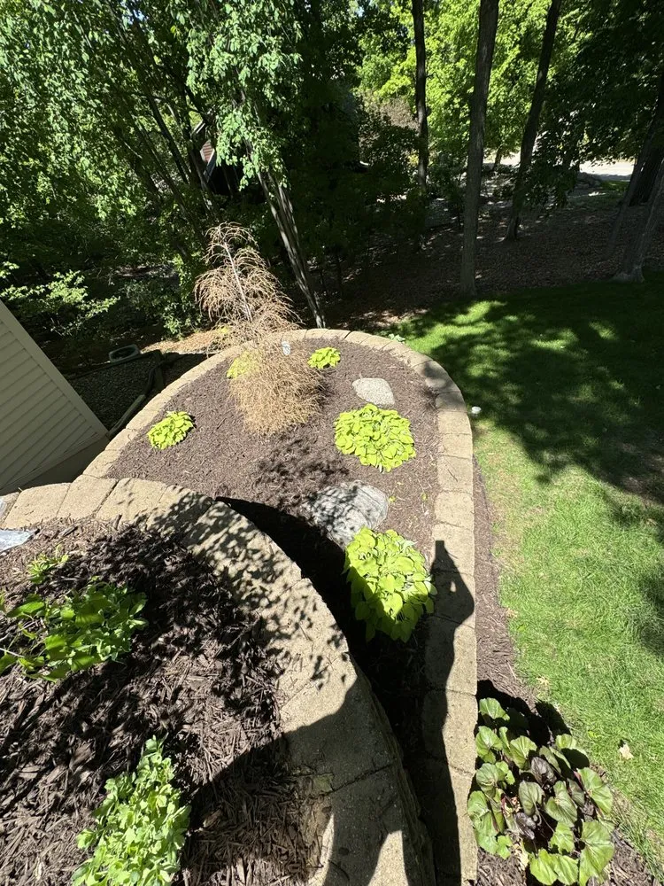 Top-rated yard cleanup service in Minnetonka, MN - All Around