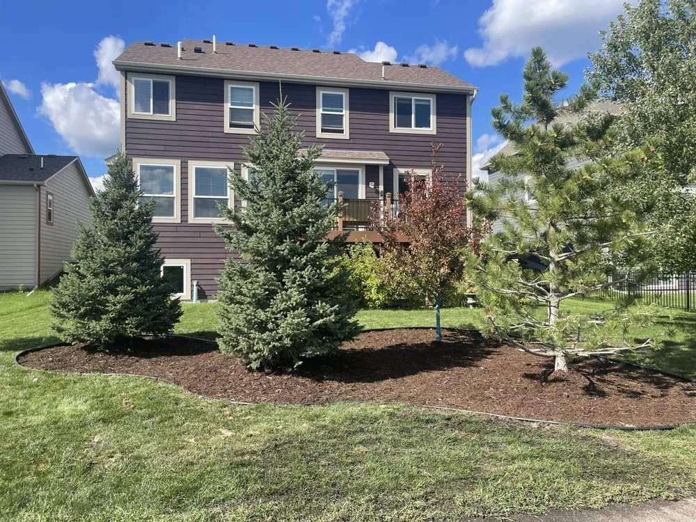 Custom yard cleanup service in Minnetonka, MN by All Around