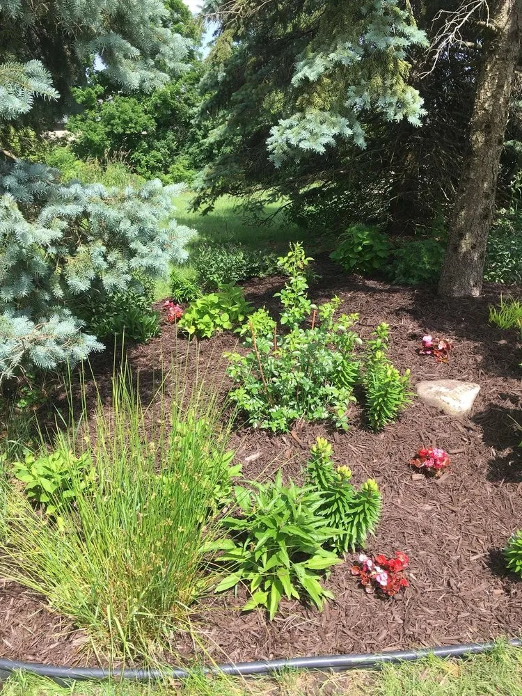 Reliable lawn care service in Shelby Township, MI by All Around Properties