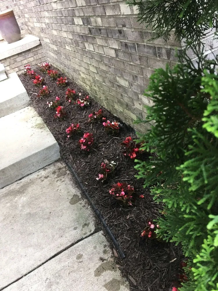 Affordable yard cleanup service experts serving Shelby Township, MI - All Around Properties