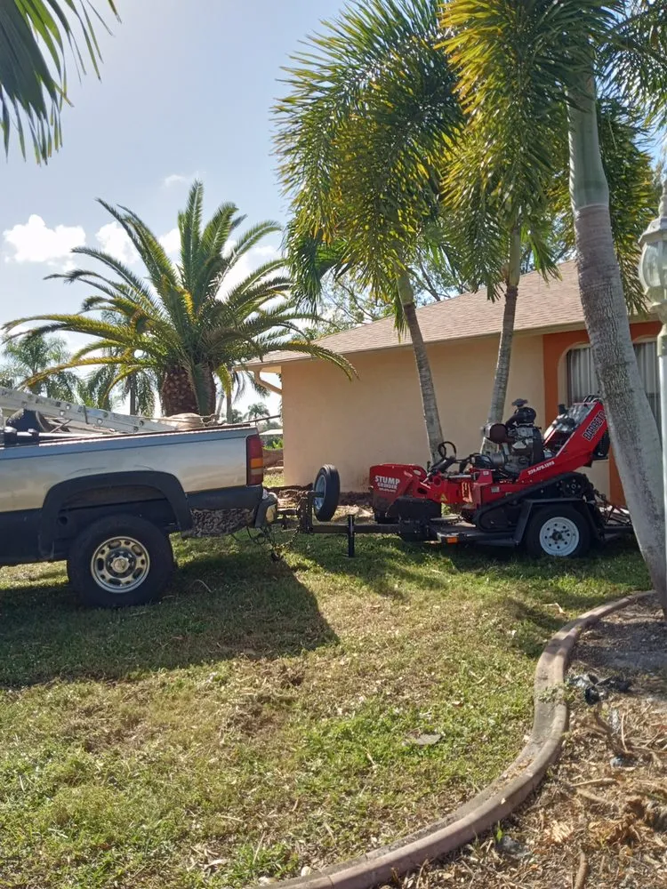 Local residential landscaping in Pinellas Park, FL - All Around Property Maintenance