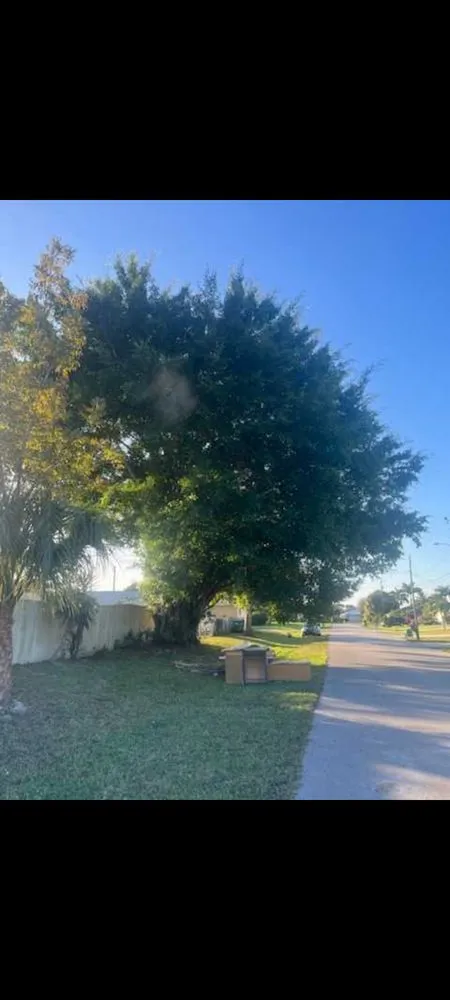 Top-rated yard cleanup service in Pinellas Park, FL - All Around Property Maintenance