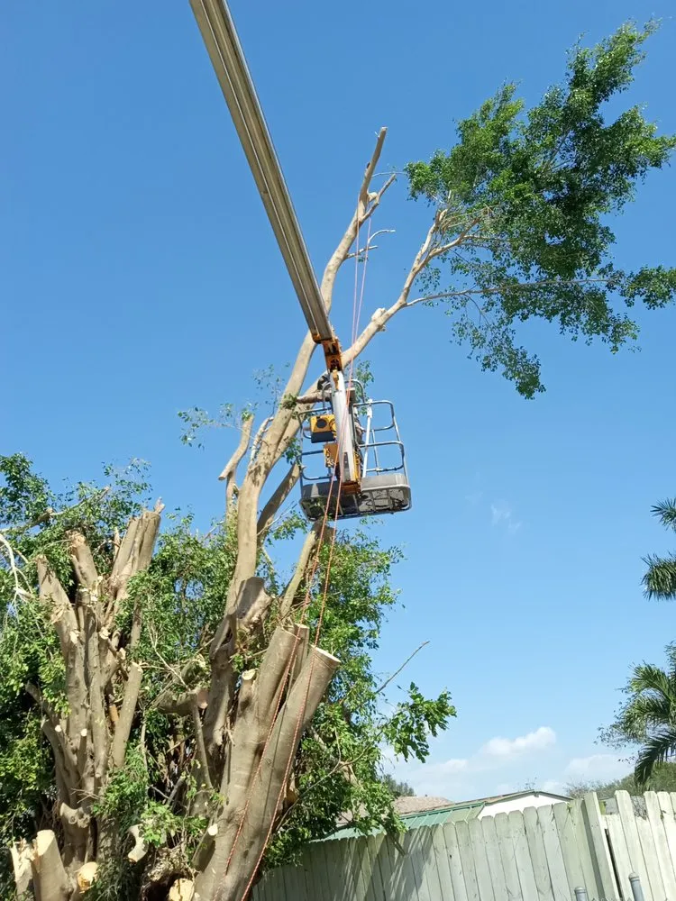 Local garden landscaping for year-round maintenance across Pinellas Park, FL - All Around Property Maintenance