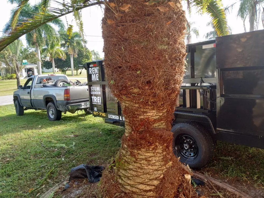 Trusted outdoor landscaping experts serving Pinellas Park, FL - All Around Property Maintenance