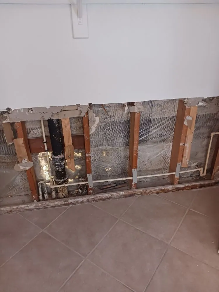 Reliable yard maintenance in Pinellas Park, FL by All Around Property Maintenance