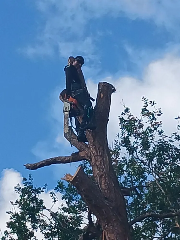 Professional garden landscaping in Pinellas Park, FL - All Around Property Maintenance