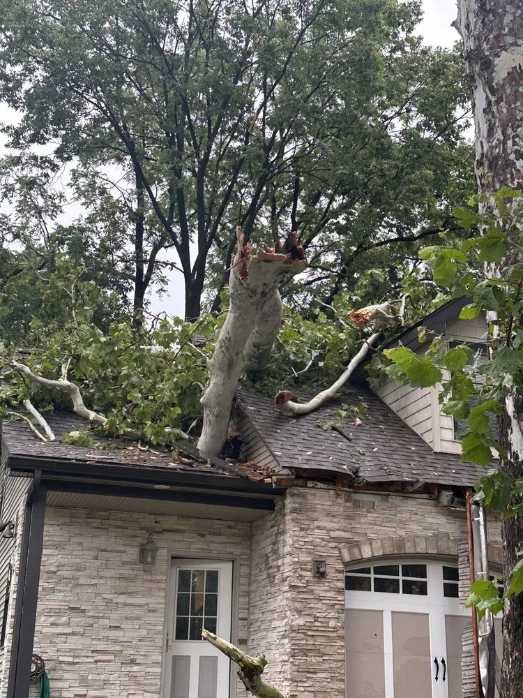 Expert landscaping services in Villa Ridge, MO by All Around Property Maintenance