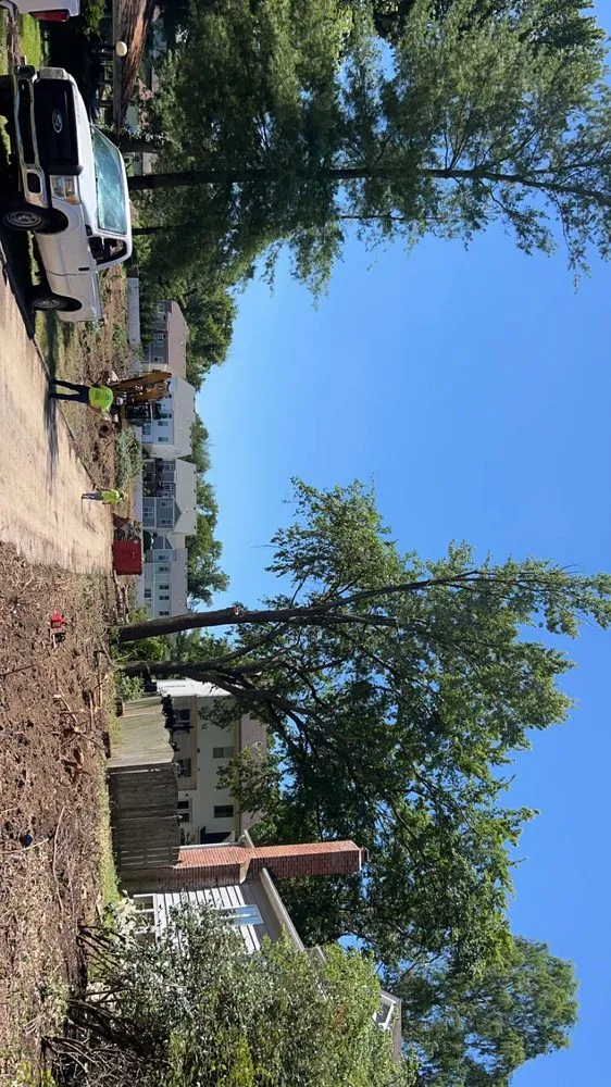 Affordable garden landscaping in Villa Ridge, MO - All Around Property Maintenance