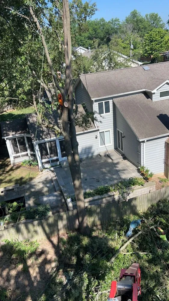 Trusted residential landscaping for year-round maintenance in Villa Ridge, MO by All Around Property Maintenance