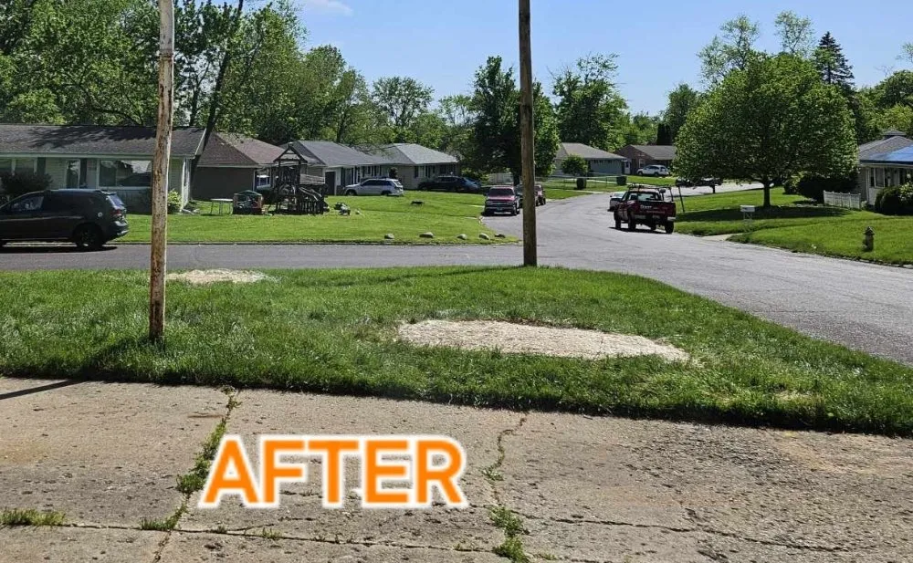 Local yard cleanup service in East Peoria, IL by All Around Property Solutions