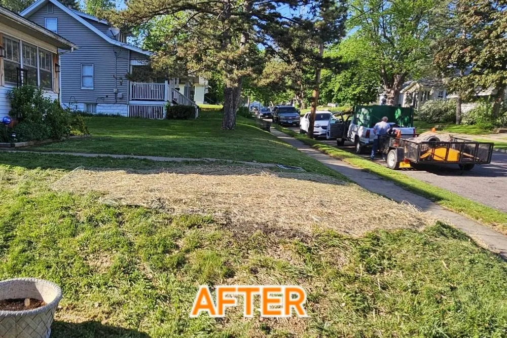 Expert landscape installation in East Peoria, IL by All Around Property Solutions