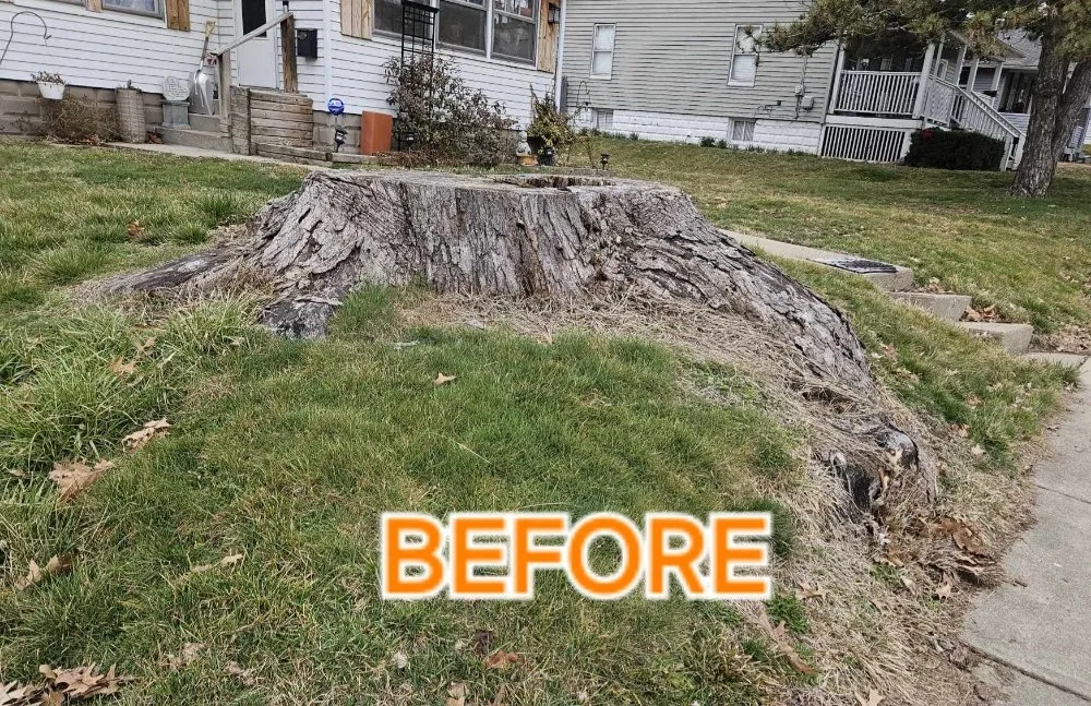 Professional residential landscaping experts serving East Peoria, IL - All Around Property Solutions