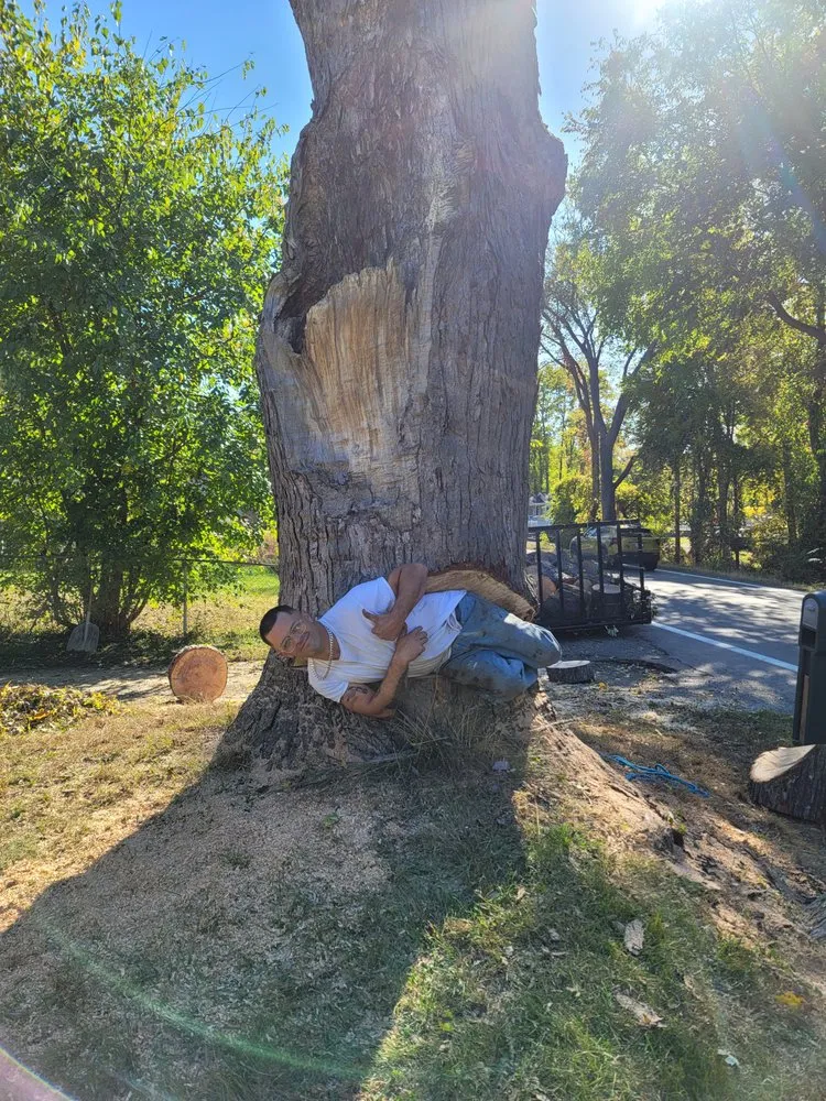 Reliable yard cleanup service for beautiful yards in Pontiac, MI by All Around Property Solutions