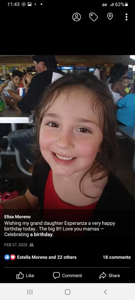 Affordable lawn care service for beautiful yards across Fort Wayne, IN - All Around Services