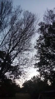 All Around Services Logo