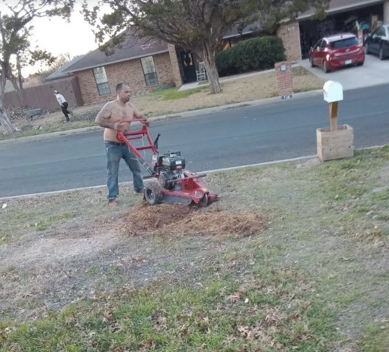Expert garden landscaping experts serving Belton, TX - All Around Stump Grinding