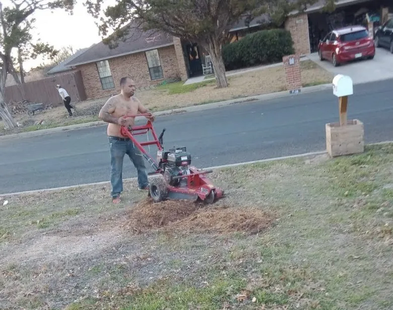 Custom landscape installation for beautiful yards in Belton, TX by All Around Stump Grinding