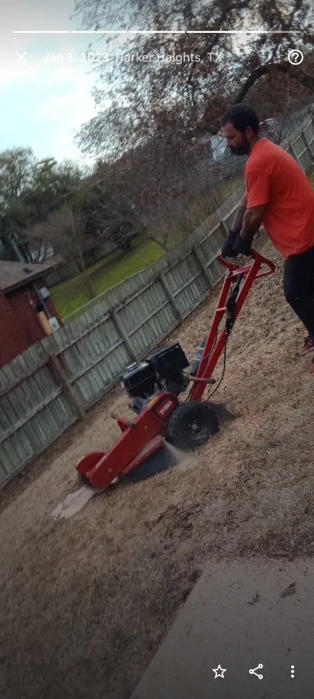 Reliable outdoor landscaping for residential properties in Belton, TX by All Around Stump Grinding