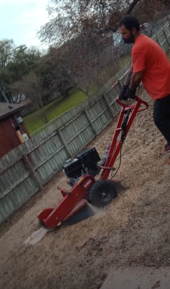 Affordable garden landscaping experts serving Belton, TX - All Around Stump Grinding