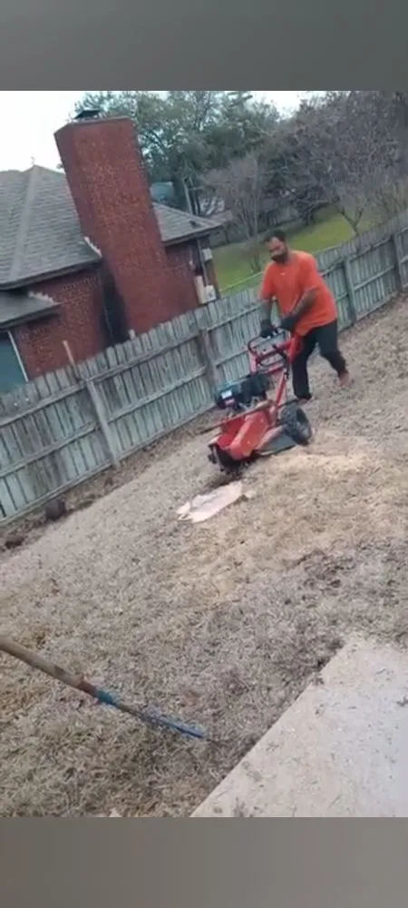 Expert yard cleanup service in Belton, TX by All Around Stump Grinding