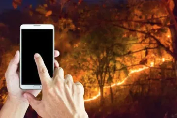 Top-rated yard cleanup service in Belton, TX - All Around Stump Grinding