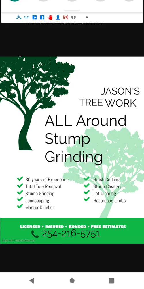 Expert landscape design in Belton, TX - All Around Stump Grinding