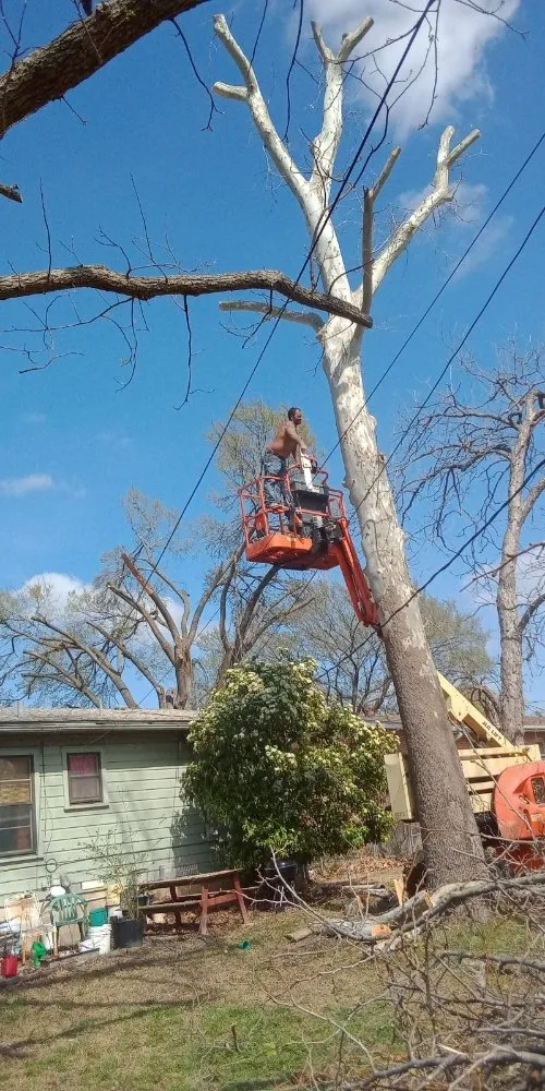 Local landscaping services for homes across Belton, TX - All Around Stump Grinding