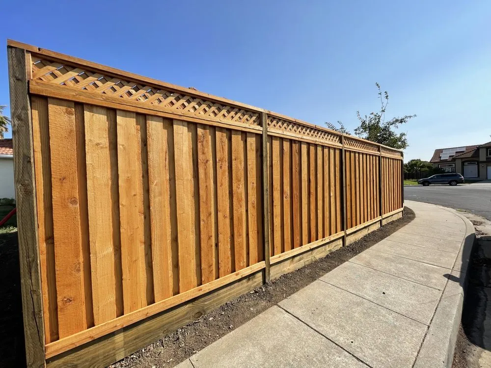 Local yard maintenance in Concord, CA by All Around the Garden