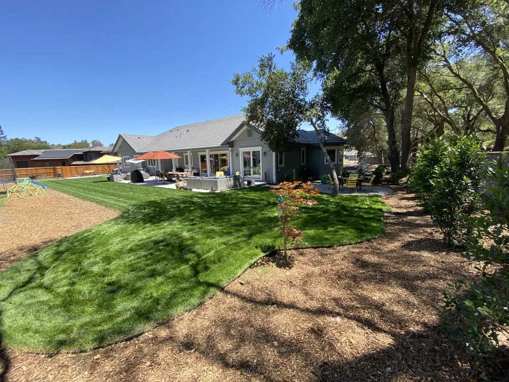 Professional yard maintenance experts serving Concord, CA - All Around the Garden