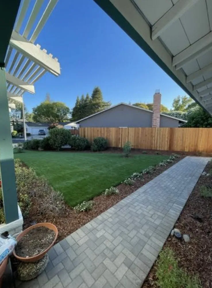 Top-rated landscaping services for year-round maintenance across Concord, CA - All Around the Garden