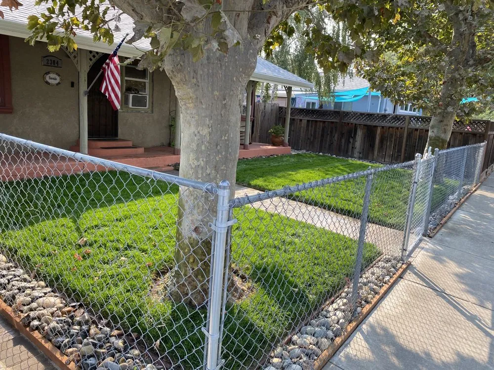 Reliable yard cleanup service experts serving Concord, CA - All Around the Garden