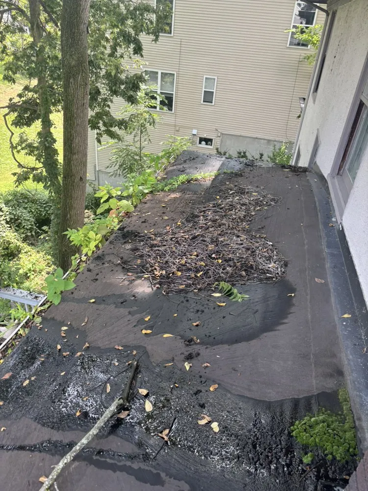 Local yard cleanup service for residential properties across Cincinnati, OH - All Around the House Home Services