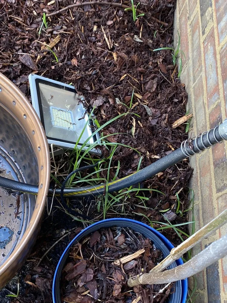 Professional yard maintenance experts serving Northport, AL - All Around the House Landscaping